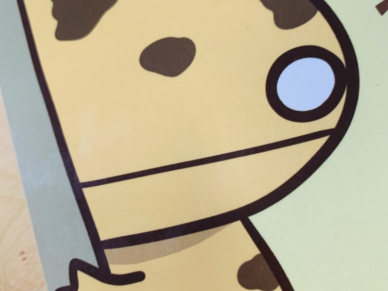 日本を救う存在 オオサンショウウオの生態をおもしろおかしく解説した書籍 オオサンショウウオと暮らすための50のこと Flag Web 広島の 今 を発信するローカルマガジン