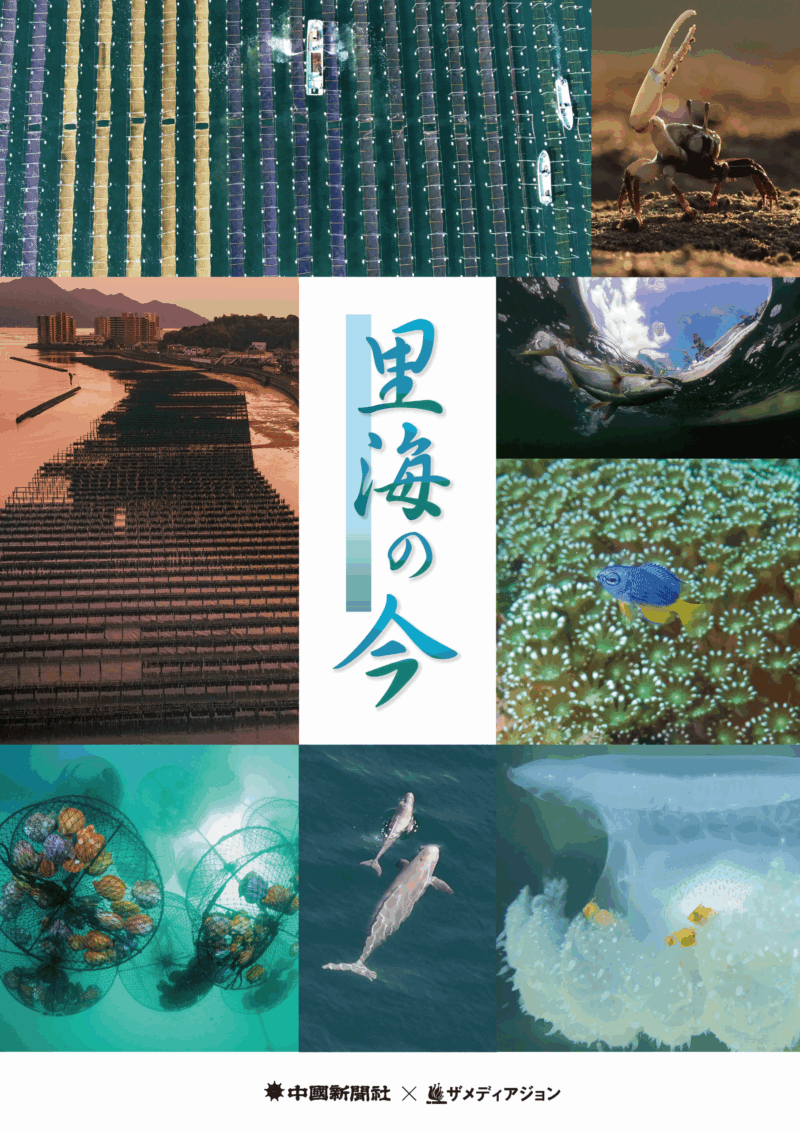 里海の今